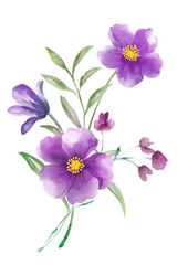 watercolor illustration flowers in simple background