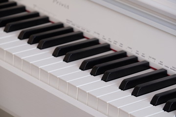 Naklejka premium The image of piano keys