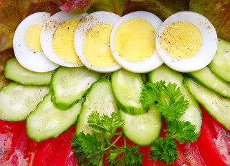 summer salad of fresh vegetables