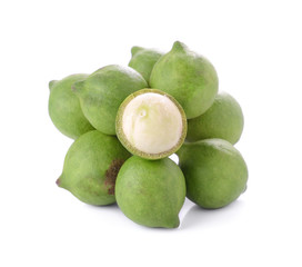 fresh macadamia nut on white background