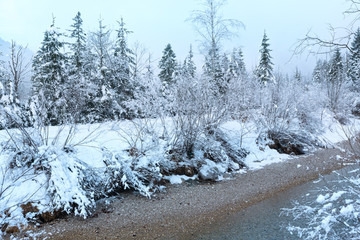 Small winter stream with snowy trees.