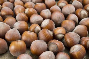 Background of the hazelnuts