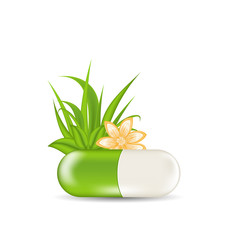 Natural medical pill with flower, leaves, grass, isolated on whi