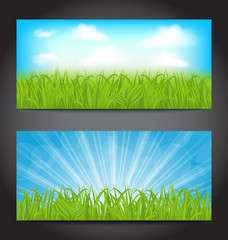 Fototapeta na wymiar Set summer cards with grass, natural backgrounds
