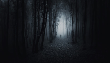 Fototapeta premium człowiek w lesie w nocy scena halloween