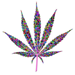 color spotted cannabis leaf with main leaf veins in violet isola