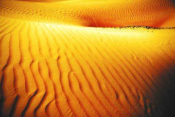 Wind created patterns in the sand dunes of Liwa oasis, United Arab Emirates