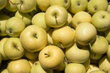 White filling. Yellow apple. 