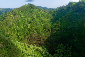 Obraz premium Overlooking a tall waterfall in Waimea Canyon State Park.