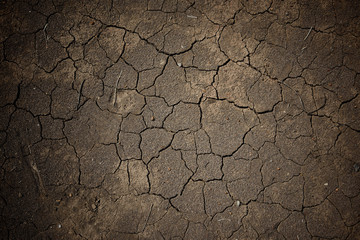 Wet cracked earth or dirt for textured background