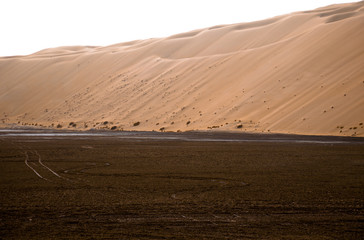 Fototapeta na wymiar Amazing sand dune formations in Liwa oasis, United Arab Emirates