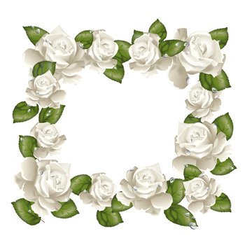 Cornice rose