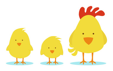 Hen mother with two little chicks