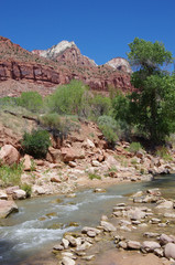 rivière zion park