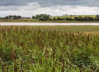 Skipool Creek, Thornton Cleveleys, Lancashire, UK. August 11th 2015. The river Wyre at low tide at Skipool Creek, Lancashire, uk.