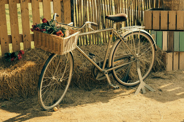 Fototapeta na wymiar bicycle with basket flower -soft focus with vintage film filter