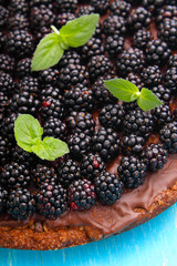 homemade chocolate cake with nuts and blackberry