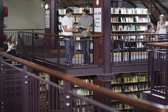 Students in a library looking at books