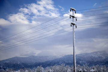 winter landscape