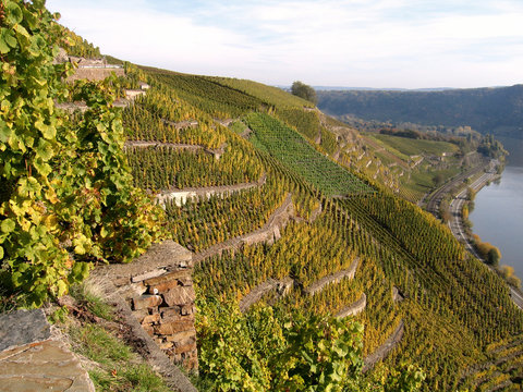 Winninger R&ouml;ttgen im Herbst
