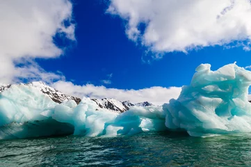 Foto op Plexiglas Close up of blue green icebergs floating in a fjord in Svalbard, © Don Landwehrle
