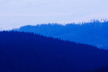 blue color of forest during sunset