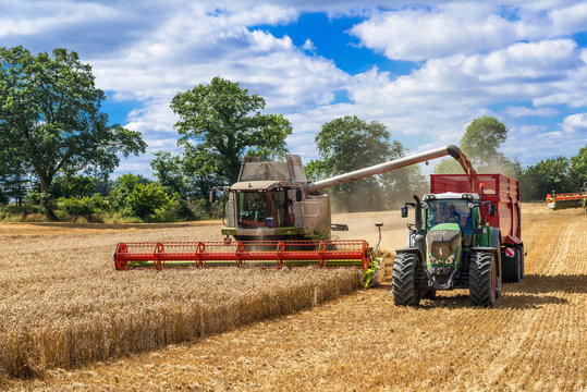M&auml;hdrescher und Traktor mit Ladewagen bei der Getreideernte - 2899