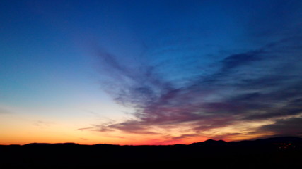 Fototapeta premium Ptak o wschodzie słońca