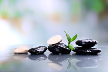 Spa stones with green leaves on blurred background