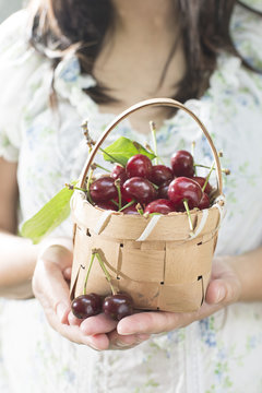 Woman holding Morello Cherries