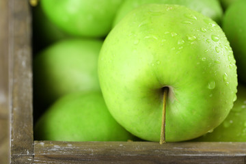 Ripe green apples close up