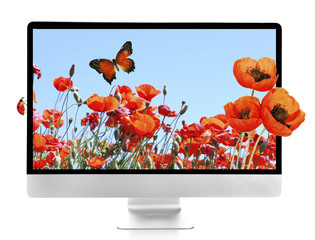 New modern computer with nature wallpaper on screens isolated on white