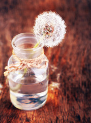 Dandelions flower on old wooden background