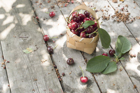 Morello Cherries in a basket on a wooden table