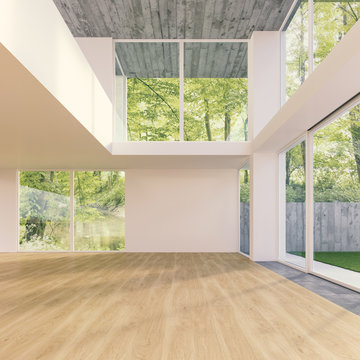 D Rendering of modern home interior with view to garden