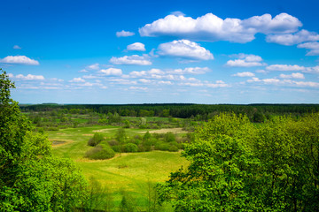 Fototapeta na wymiar Green grassland and blue sky in summer