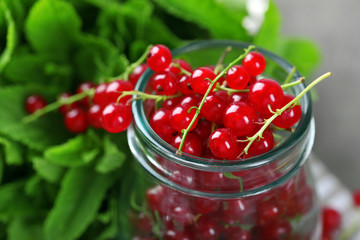 Fresh red currants in jar with mint close up