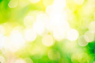 Obraz premium Abstract green bokeh background