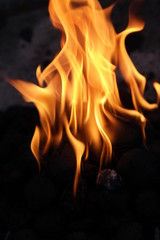 Feuer und Flamme / Grillzeit / Stillleben 