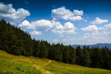 Fototapeta na wymiar Красивый вид Карпатских гор
