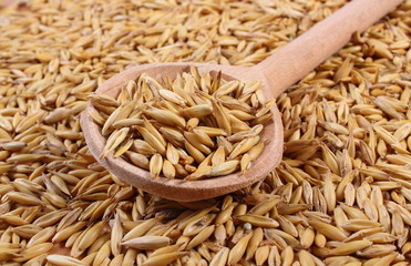 Organic oat grains with wooden spoon, healthy nutrition