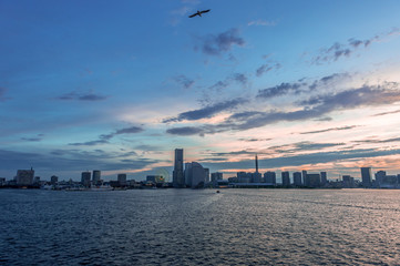 Obraz premium 海鳥が見る都市風景