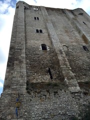 Beaugency ruderi del castello - Loira, Francia