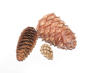 cones isolated
