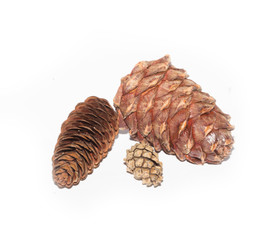 cones isolated