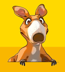 Fun kangaroo © Julien Tromeur