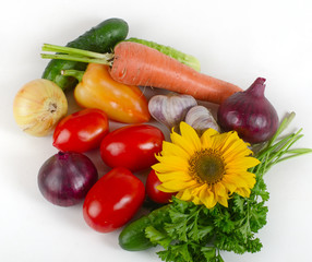 set of vegetables. top view