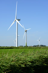 Fototapeta premium Windräder