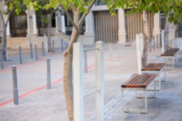 Benches and trees