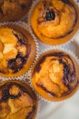 Close up view of blueberry muffins on a plate